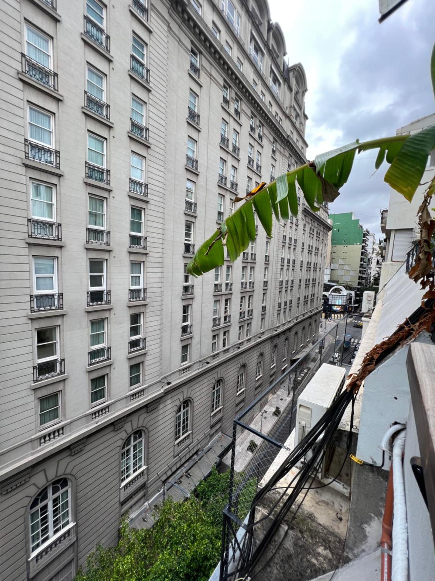 Petite Alvear Buenos Aires Eksteriør bilde